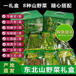 东北吉林长白山特产野生山野菜礼盒新鲜清水刺嫩芽蕨菜红猴腿礼盒