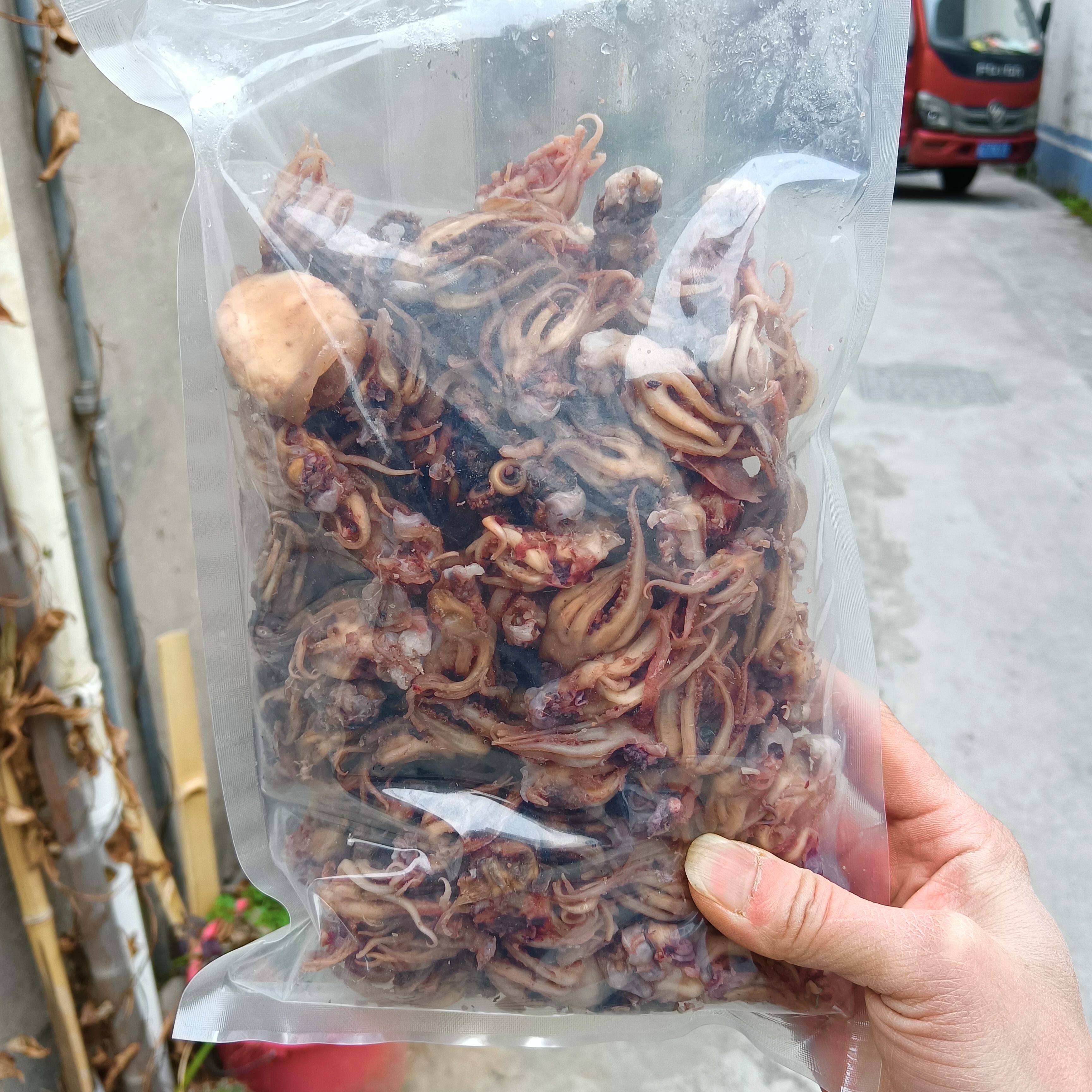 温州特产冷冻章鱼冷冻小墨鱼头海产干货海鲜美食小鱿鱼头