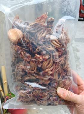 温州特产冷冻章鱼冷冻小墨鱼头海产干货海鲜美食小鱿鱼头
