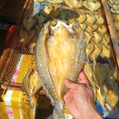 温州特产瑞安东山黄鱼鲞黄花鱼海鱼海鲜干货鱼鲞咸鱼