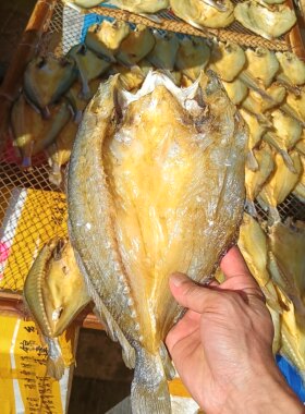温州特产瑞安东山黄鱼鲞黄花鱼海鱼海鲜干货鱼鲞咸鱼