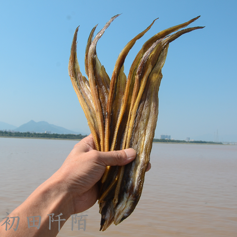 小油鳗鱼干温州美食特产(半干型)鳗鱼鲞