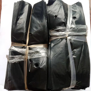 育苗袋 营养杯苗杯 营养钵移苗盆 塑料加厚花木 农用苗袋6*10厘米