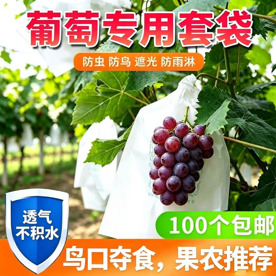 葡萄套袋专用袋防虫葡萄套育袋葡纸袋葡萄袋果袋袋子防水萄专用的