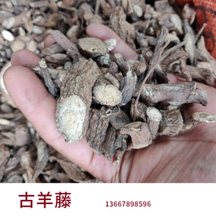 广西古羊藤老鸦咀毛青才野生南苦参奶藤 马莲鞍虎阴藤 可食用产品