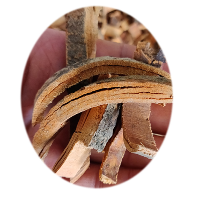 野生木棉树皮广西木棉皮农产品