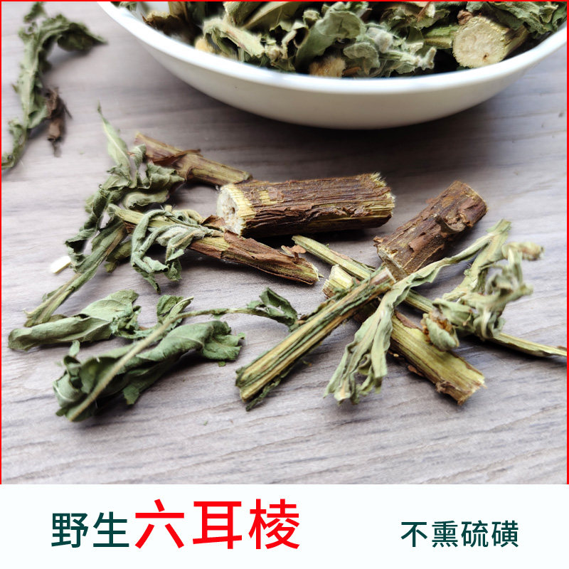 野生六耳棱 鹿耳苓 六角草羊仔菊 六棱菊 另有细叶金不换蓝花柴胡