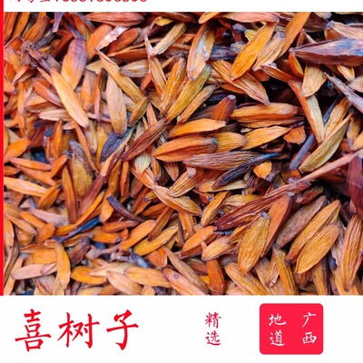 喜树子广西农产品野芭蕉