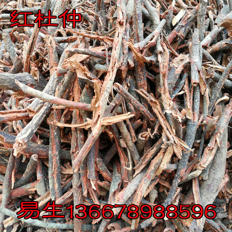 红杜仲 少花腰骨藤  红杜仲,毛杜仲藤, 杜仲,红皮杜仲 500克