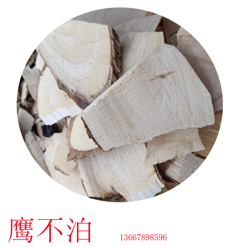 野生广西鹰不泊楤木根鸟不宿