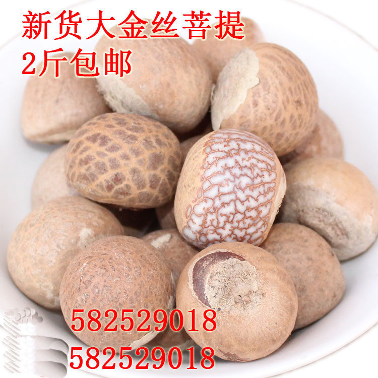 新货 大金丝 菩提子  金线 血丝 菩提子 原料籽  2.3-3.5cm各规格