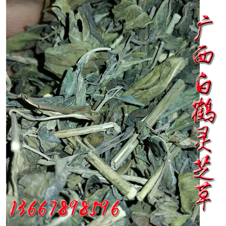 野生白鹤灵芝草 包邮可食用产品  癣草 仙草 广西白合灵芝草磨粉