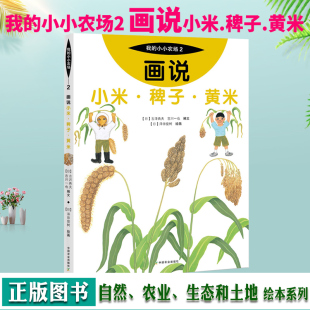 正版 画说小米 稗子 黄米 我的小小农场绘本少儿百科全书幼儿科普十万个为什么科普书籍小学生版幼儿版6-12岁儿童科普图书