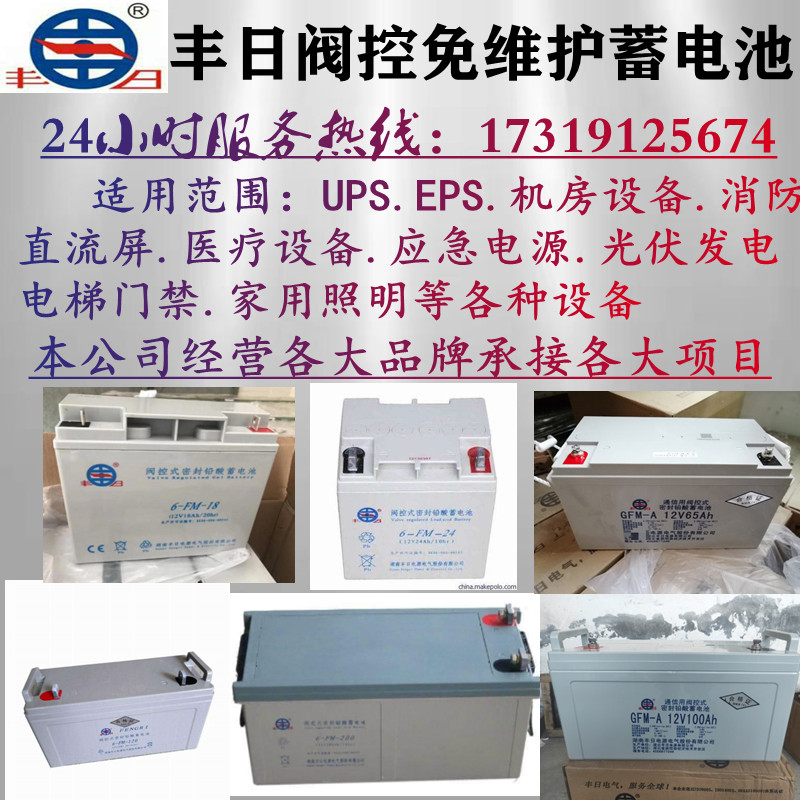 丰日铅酸阀控蓄电池12V100AH17ah24a38a65a120a200直流屏UPS 消防