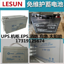 Lesun蓄电池6-FM-65/12V24A/38A/100A/机房电源UPS直流屏配电柜用