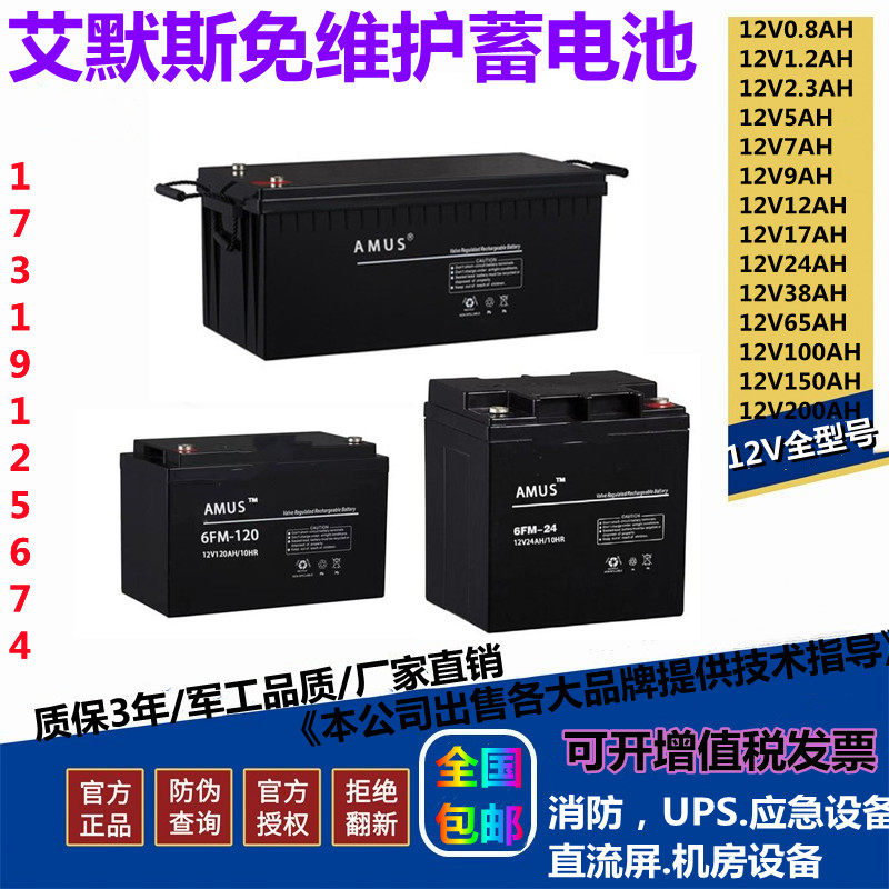 AMUS艾默斯蓄电池UPS/EPS消防用
