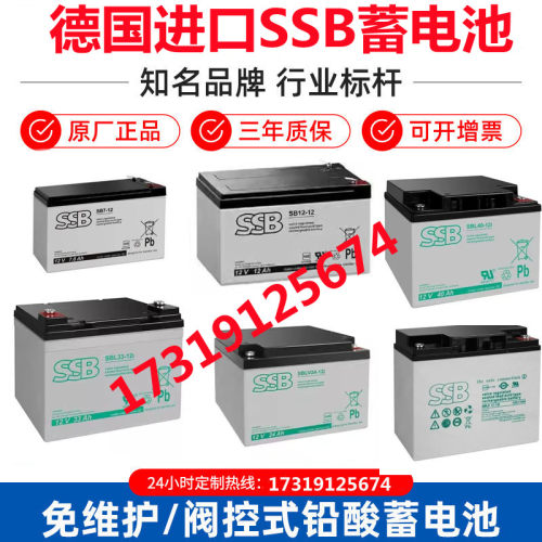 德国SSB蓄电池12V33AH38AH24AH17AH7AH65AH12V100AH直流屏UPS电源