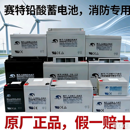 赛特BT-12M24AT消防主机备用电池7AH12AH17AH33AH38AH泰和安海湾
