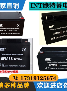 INT鹰特蓄电池 6FM/12V24AH38AH40AH65AH100AH120AH监控机房/通讯