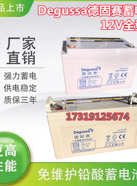 Degussa德固赛蓄电池NP65-12 12V17AH24AH38AH65AH100AH机房 通用