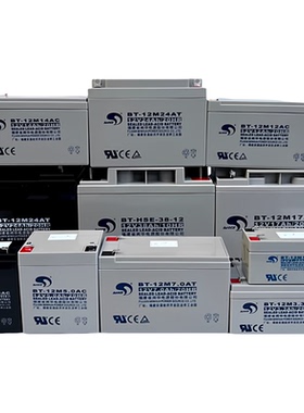 赛特BT-12M24AT消防主机备用电池7AH12AH17AH33AH38AH泰和安海湾