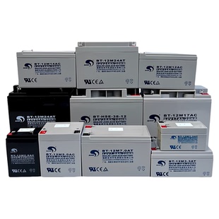 赛特BT 12M24AT消防主机备用电池7AH12AH17AH33AH38AH泰和安海湾
