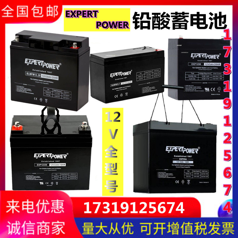 EXPERTPOWER 进口蓄电池BLMFM12V20免维护蓄电池4A7A12A33A65A100