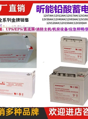 XINNENG昕能蓄电池12v7AH12AH17AH24AH38AH65AH100AH消防/UPS电源
