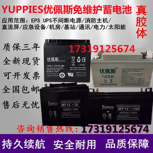 YUPPIES优佩斯蓄电池GFM MF12V17AH38AH40AH65AH100AH200AH直流屏