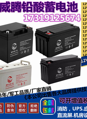 MVVTON明威腾蓄电池MV100-1212V7A12A24A38A65A100A120A消防主机