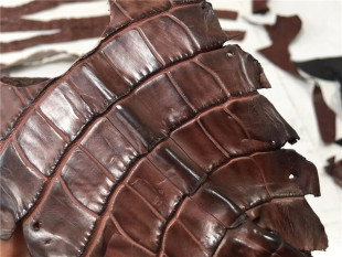 tzp130鳄鱼纹边角料碎皮子小料镶嵌表带饰品真皮手工DIY皮料 28块