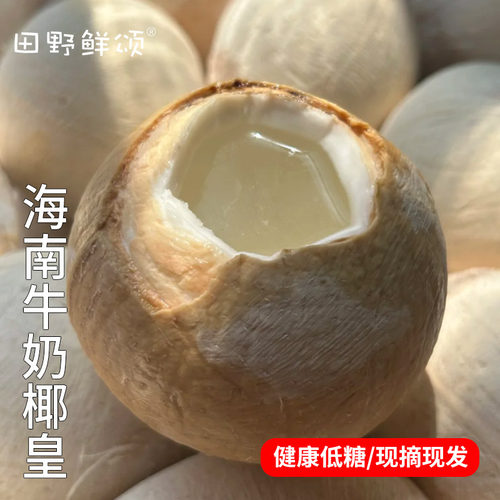 新鲜椰子蛋牛奶特产海南补羊水