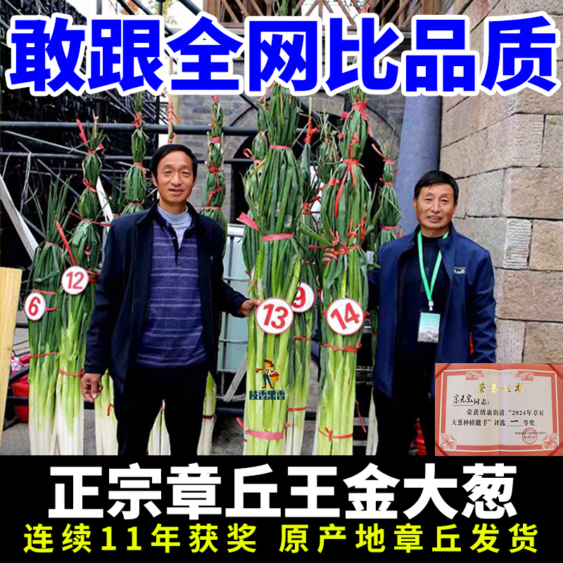 现挖发货章丘王金获奖大葱礼盒装