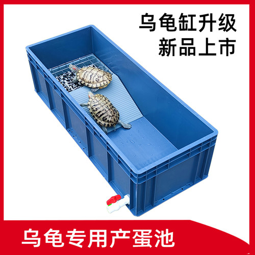 大型家用乌龟缸塑料产蛋池
