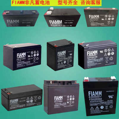 监控设备直流屏12V/6VFIAMM电池