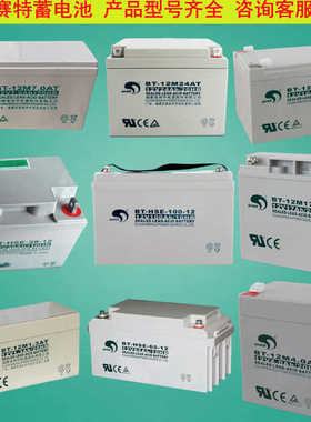 赛特蓄电池BT-12M7AT消防电梯12V4AH10A12A14AH24A38A65A100A150A