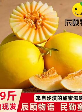 辰颐物语甘肃民勤沙漠蜜瓜应季现摘新鲜水果甜瓜黄香瓜哈蜜瓜密瓜