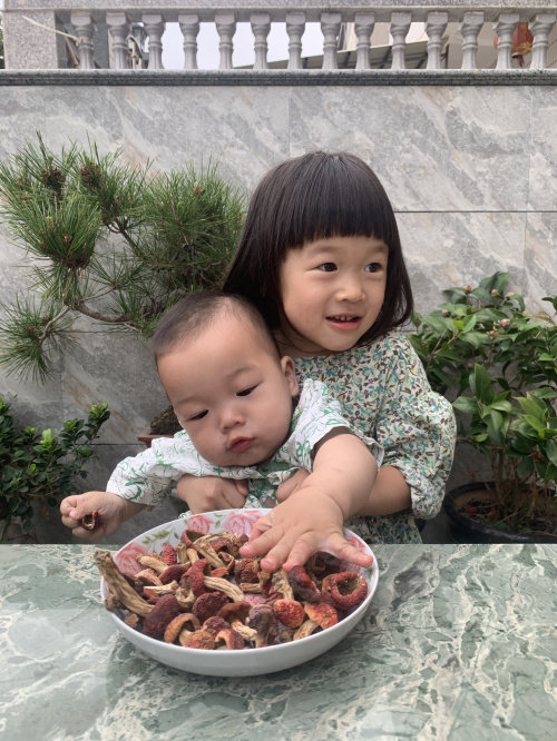 福建500克野生红菇