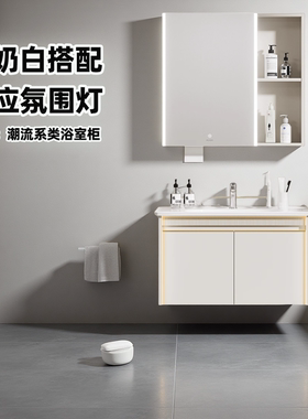 惠达浴室柜组合洗手台双开门抽屉款奶油风15610