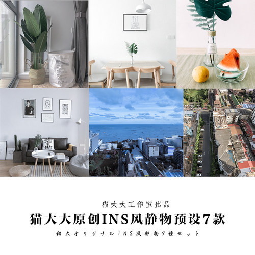 猫大大原创调色后期网红北欧ins风清新静物滤镜PS LR/手机LR预设