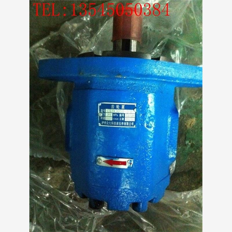 新款四川长江液压齿轮泵C