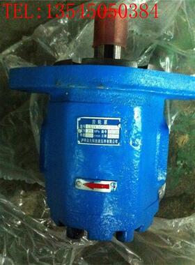 全新四川长江液压齿轮泵CBK1008-307R CBK1004/06/08/10-B1FR包邮