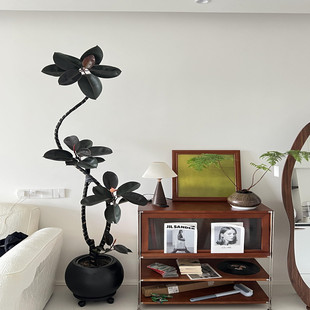 造型黑金刚橡皮树盆栽室内客厅大型植物办公室网红绿植四季 好养活