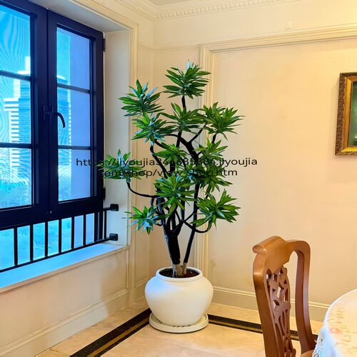 造型百合竹绿植好养易活养死包赔