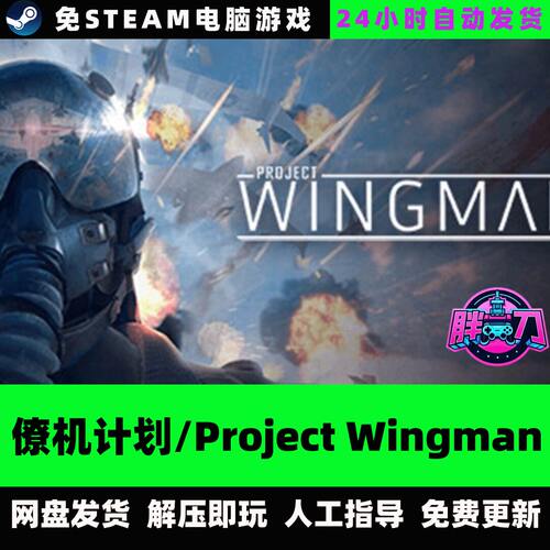 僚机计划/Project Wingman 飞行中文单机游戏免steam全DLC