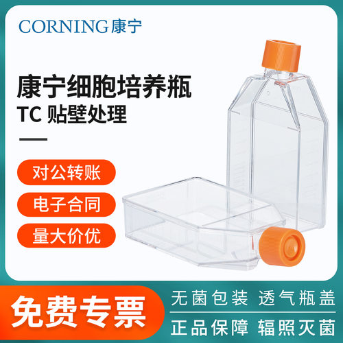 康宁细胞培养瓶TC贴壁处理T25透气口T75密封口辐照灭菌透明款