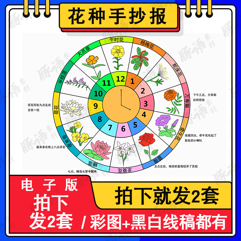 花钟手抄报模板电子版学生花卉拟人造句三四年级语文下册A48Ka34k-封面