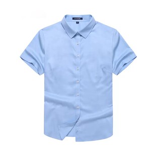 【DP免熨】雅戈尔女士短袖衬衫夏装浅蓝抗皱修身衬衣104984IFF