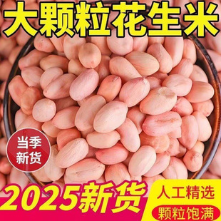【批发价】新花生米生花生米装粉红皮大粒花生仁榨油花生下酒菜