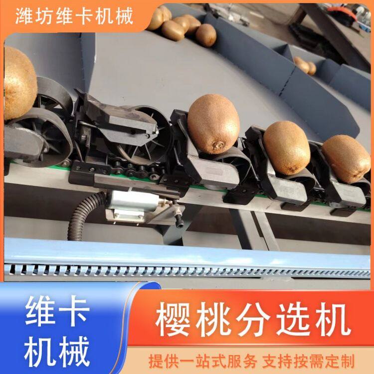 丑橘定量称重选果机 果冻橙多级重量分拣机厂家 运行稳定，产量高